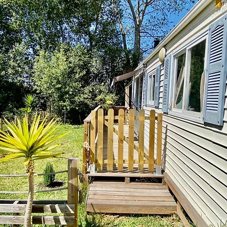 Campsite Sunflower Soulhouse Pataias