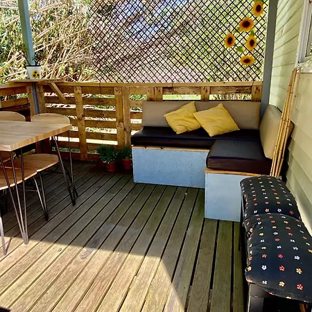 Campsite Sunflower Soulhouse *