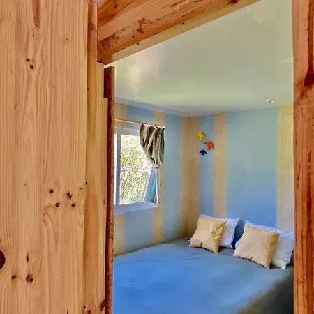 Sunflower Soulhouse Campsite *